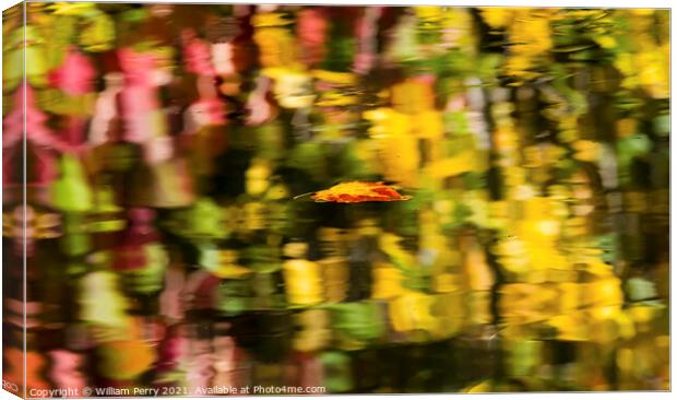 Floating Autumn Leaf Abstract Reflection Fall Colors Wenatchee R Canvas Print by William Perry