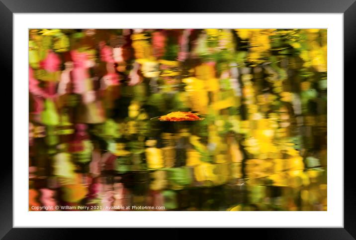 Floating Autumn Leaf Abstract Reflection Fall Colors Wenatchee R Framed Mounted Print by William Perry