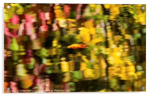 Floating Autumn Leaf Abstract Reflection Fall Colors Wenatchee R Acrylic by William Perry