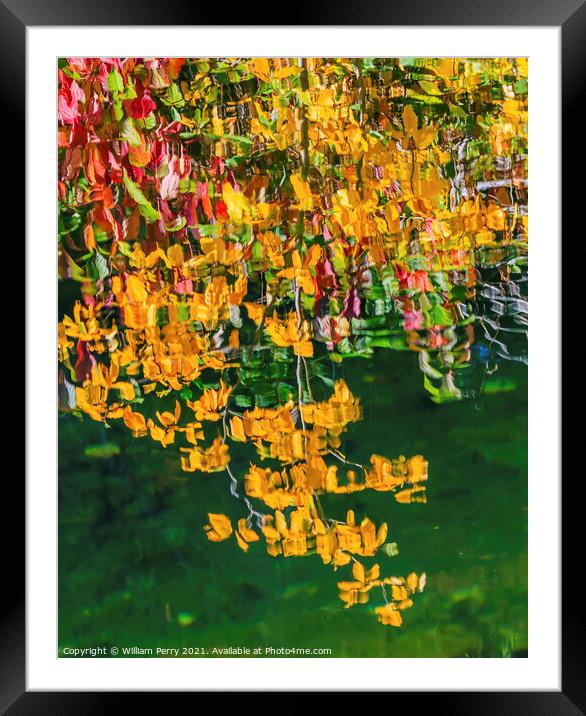 Yellow Leaves Fall Colors Reflection Wenatchee River Valley Leav Framed Mounted Print by William Perry