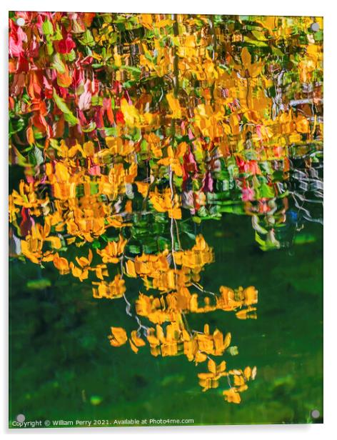 Yellow Leaves Fall Colors Reflection Wenatchee River Valley Leav Acrylic by William Perry