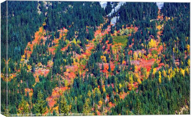 Fall Colors Mountain Sides Forest Stevens Pass Leavenworth Washi Canvas Print by William Perry