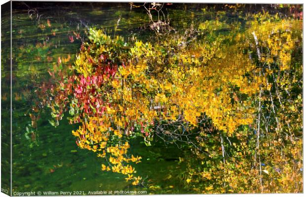 Yellow Leaves Fall Colors Reflection Wenatchee River Valley Wash Canvas Print by William Perry