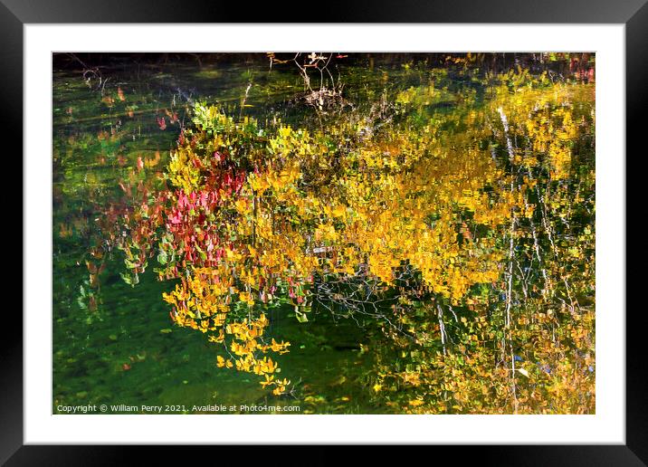 Yellow Leaves Fall Colors Reflection Wenatchee River Valley Wash Framed Mounted Print by William Perry