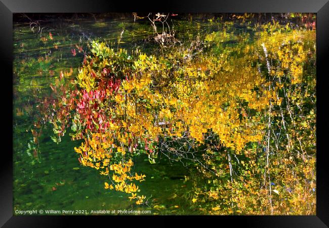 Yellow Leaves Fall Colors Reflection Wenatchee River Valley Wash Framed Print by William Perry