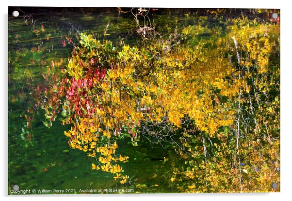Yellow Leaves Fall Colors Reflection Wenatchee River Valley Wash Acrylic by William Perry
