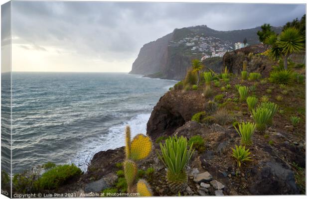 View of Cape Girão with Cactus on the foreground in Camara de Lobos, Madeira Canvas Print by Luis Pina