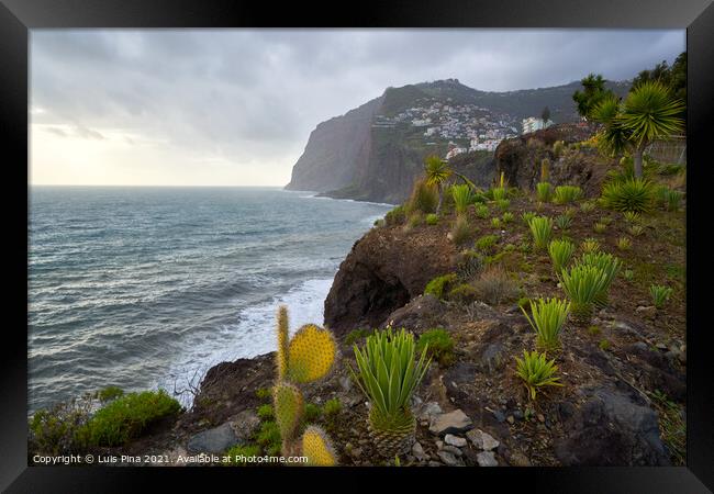 View of Cape Girão with Cactus on the foreground in Camara de Lobos, Madeira Framed Print by Luis Pina