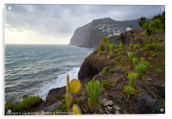 View of Cape Girão with Cactus on the foreground in Camara de Lobos, Madeira Acrylic by Luis Pina