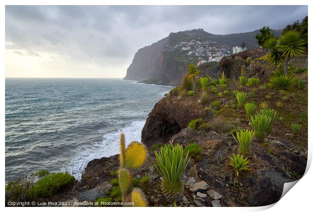 View of Cape Girão with Cactus on the foreground in Camara de Lobos, Madeira Print by Luis Pina