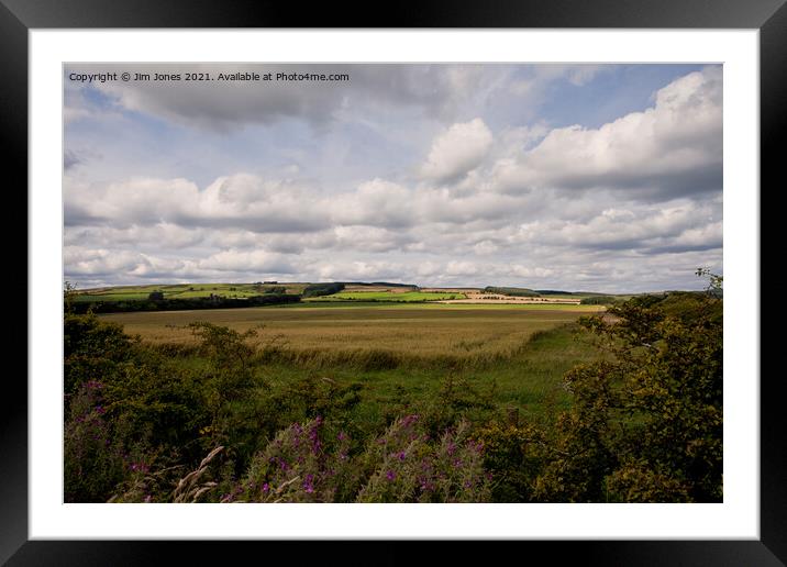 The rolling hills of Northumberland Framed Mounted Print by Jim Jones