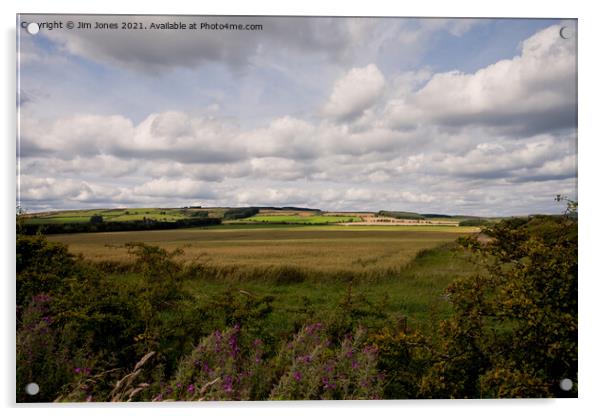 The rolling hills of Northumberland Acrylic by Jim Jones