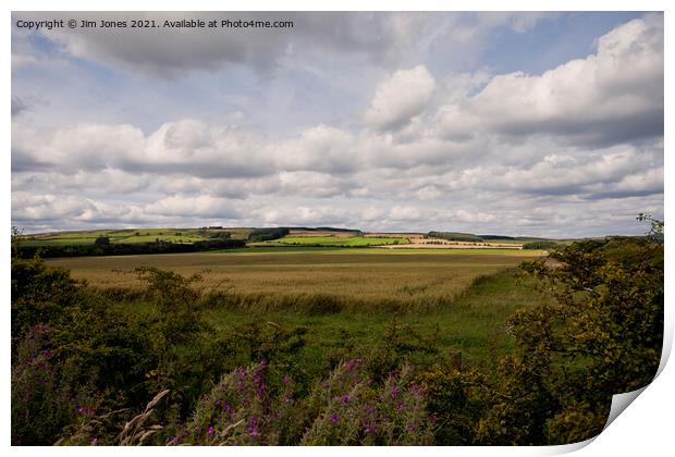The rolling hills of Northumberland Print by Jim Jones