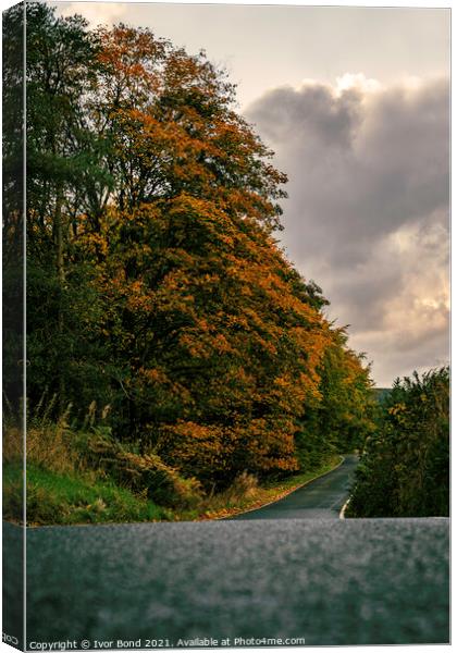 Country Road - Take Me Home Canvas Print by Ivor Bond