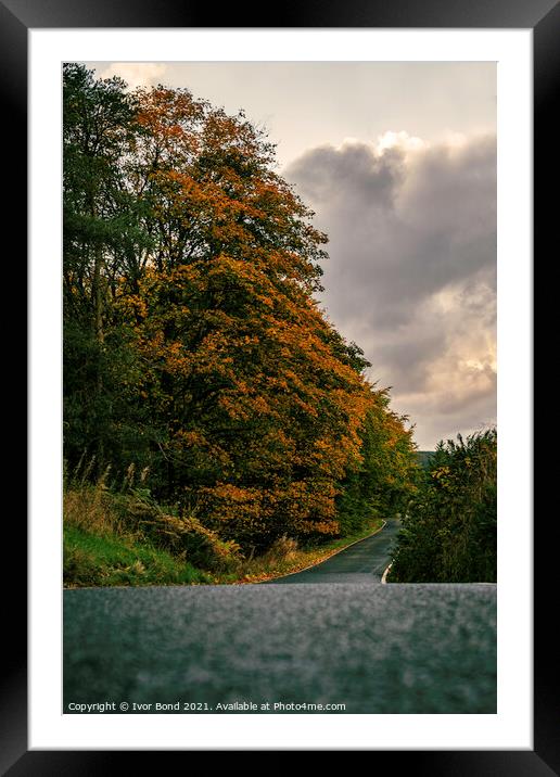 Country Road - Take Me Home Framed Mounted Print by Ivor Bond