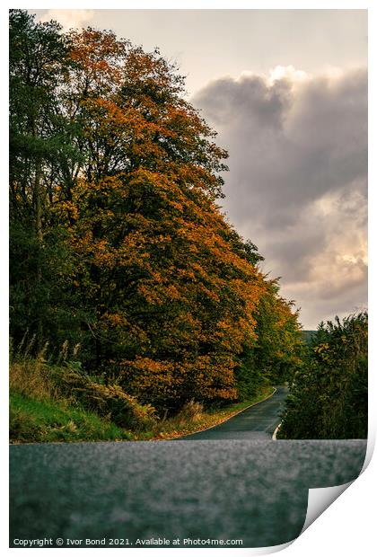 Country Road - Take Me Home Print by Ivor Bond