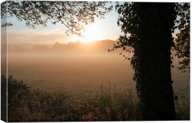 A picture of a misty sunrise Dumfries Scotland Canvas Print by christian maltby