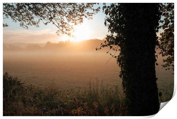 A picture of a misty sunrise Dumfries Scotland Print by christian maltby