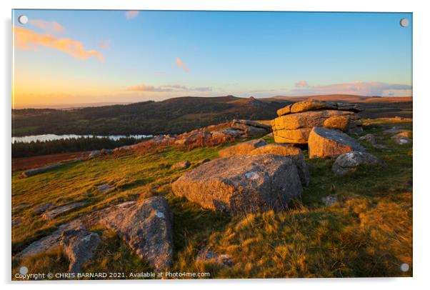 Sheepstor On Dartmoor Acrylic by CHRIS BARNARD