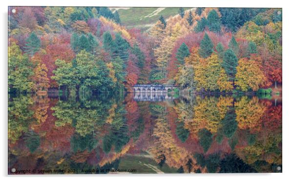 Serene Autumn Bliss Acrylic by Steven Nokes