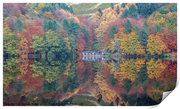 Serene Autumn Bliss Print by Steven Nokes
