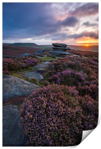 A Sunrise Amongst the Heather Print by Steven Nokes