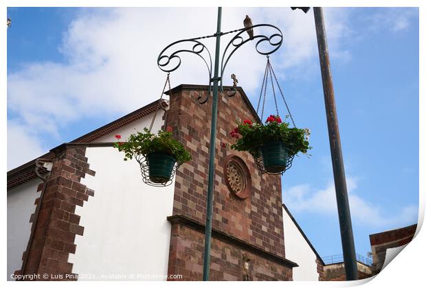 Funchal Cathedral church seen from the street with flowers hanging in Madeira Print by Luis Pina