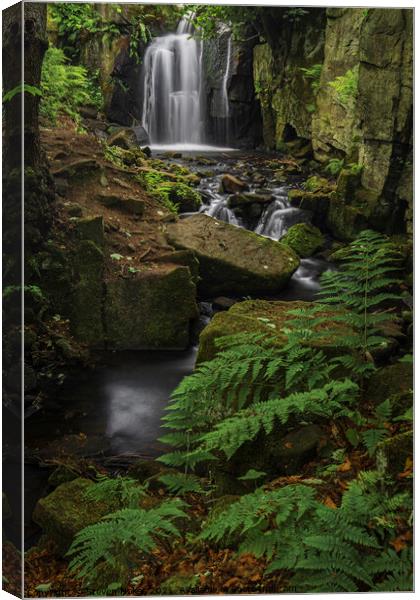 Majestic Lumsdale Falls Canvas Print by Steven Nokes