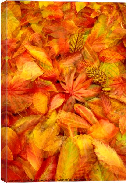 Autunmn leaf Collage Canvas Print by Simon Johnson
