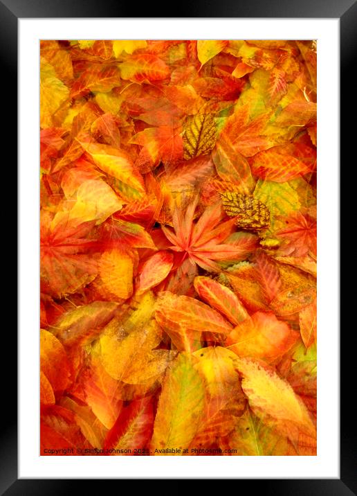 Autunmn leaf Collage Framed Mounted Print by Simon Johnson