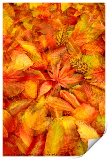 Autunmn leaf Collage Print by Simon Johnson