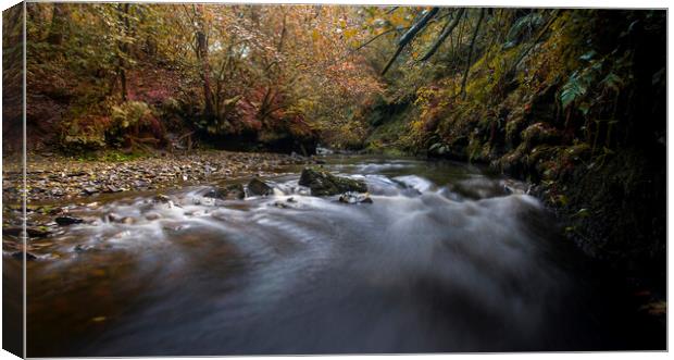 The Nant Llech river Canvas Print by Leighton Collins