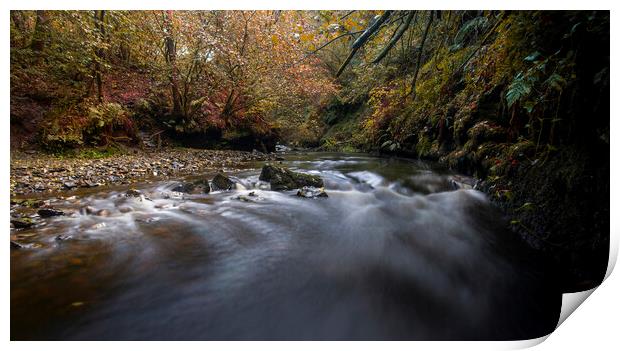 The Nant Llech river Print by Leighton Collins