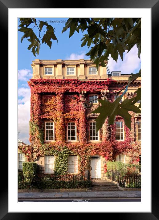 Autumn in Queen Square Bath Framed Mounted Print by Duncan Savidge
