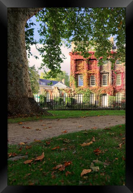 Autumn in Queen Square Bath Framed Print by Duncan Savidge