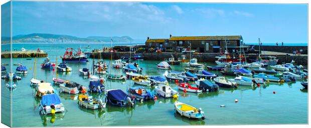 Lyme Regis Harbour Panorama Canvas Print by Alison Chambers