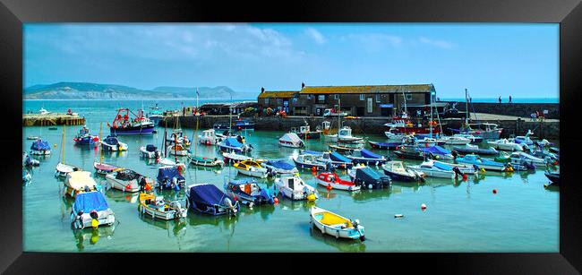 Lyme Regis Harbour Panorama Framed Print by Alison Chambers