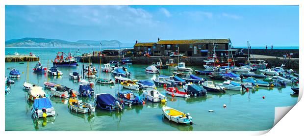 Lyme Regis Harbour Panorama Print by Alison Chambers
