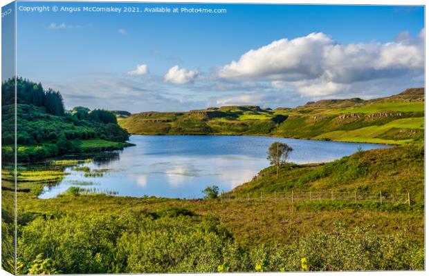 Picturesque Loch an Torr, Isle of Mull Canvas Print by Angus McComiskey