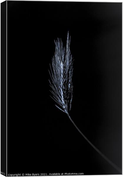 "Glimmering Grain: A Singular Barley Stalk" Canvas Print by Mike Byers