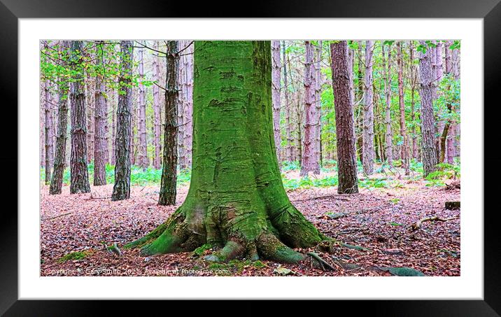 Standing Out  Framed Mounted Print by GJS Photography Artist