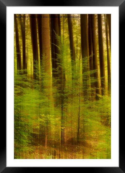Idless Woods Truro Cornwall Framed Mounted Print by kathy white