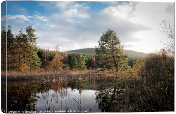 Capenoch Loch in the village of Penpont Dumfries Canvas Print by christian maltby