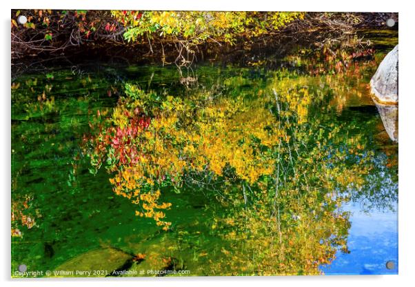 Fall Colors Fire Reflection Wenatchee River Valley Washington Acrylic by William Perry
