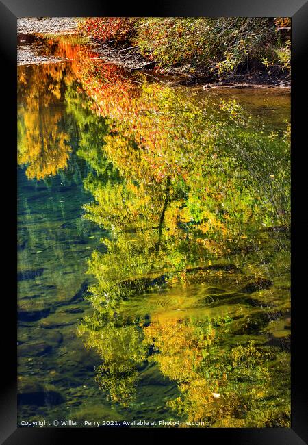 Fall Colors Fire Reflection Wenatchee River Valley Washington Framed Print by William Perry