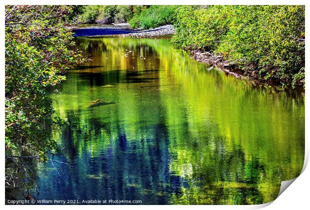 Summer Colors Green Reflection Wenatchee River Valley Washington Print by William Perry