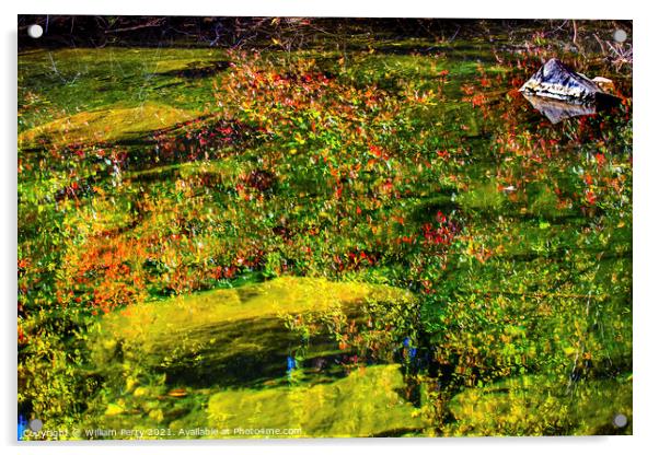  Fall Colors Green Water Reflection Abstract Wenatchee River Was Acrylic by William Perry