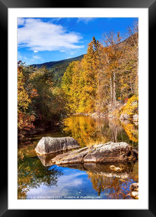 Fall Colors Orange Fire Reflection Wenatchee River Valley Washin Framed Mounted Print by William Perry