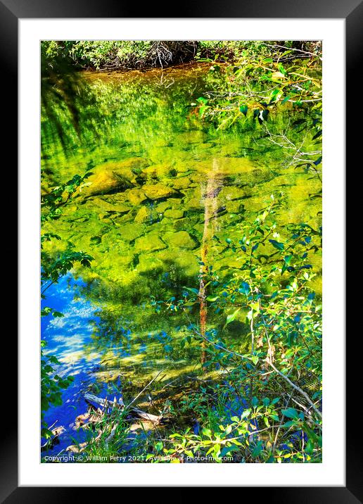 Summer Colors Green Blue Reflection Wenatchee River Valley Washi Framed Mounted Print by William Perry