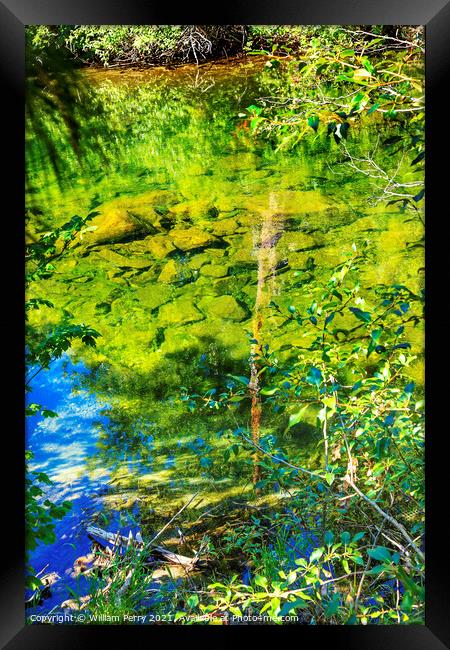 Summer Colors Green Blue Reflection Wenatchee River Valley Washi Framed Print by William Perry